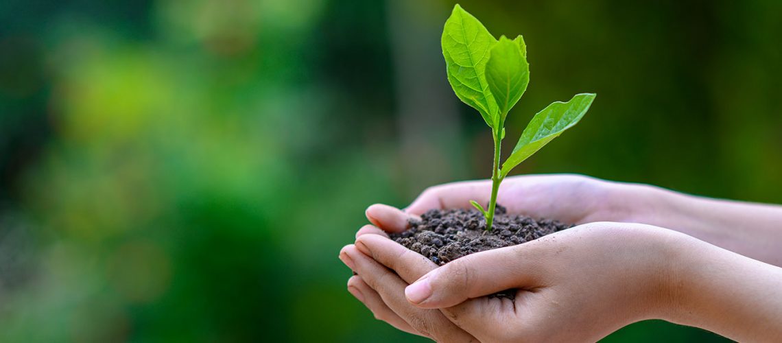 What Nature Lovers Should Know About Conservation & Firearms